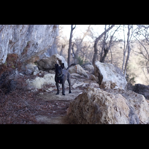 Meet your Posher, Byanca - Picture 4 of 8